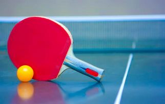 经常参加乒乓球运动对人体有哪些好处
