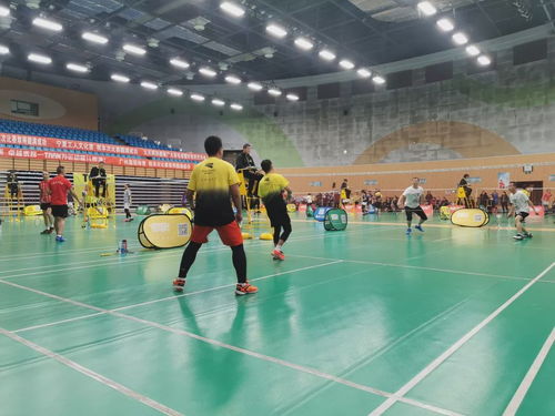 2019川崎慈善杯暨九天网羽羽毛球团体邀请赛 网络竞技与公益交融的盛会圆满成功